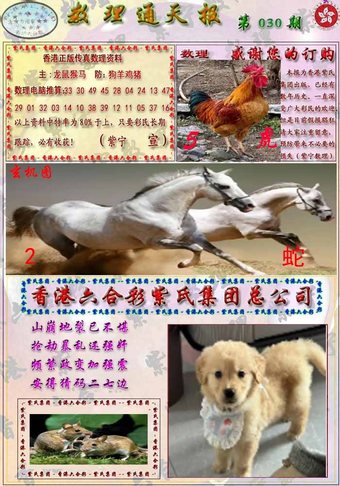 030期数通报[图]
