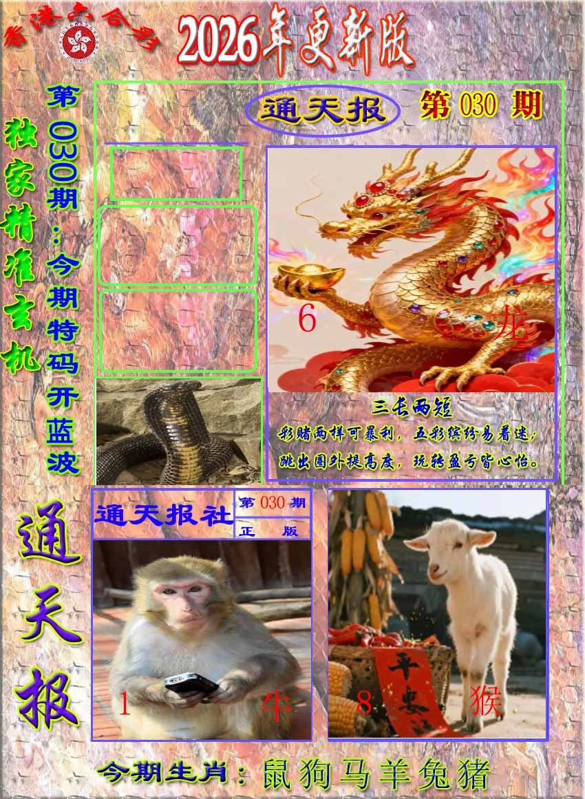 030期新通报[图]
