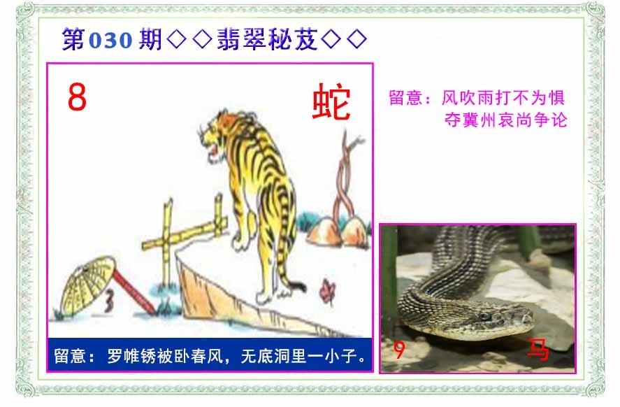 030期翡翠报[图]