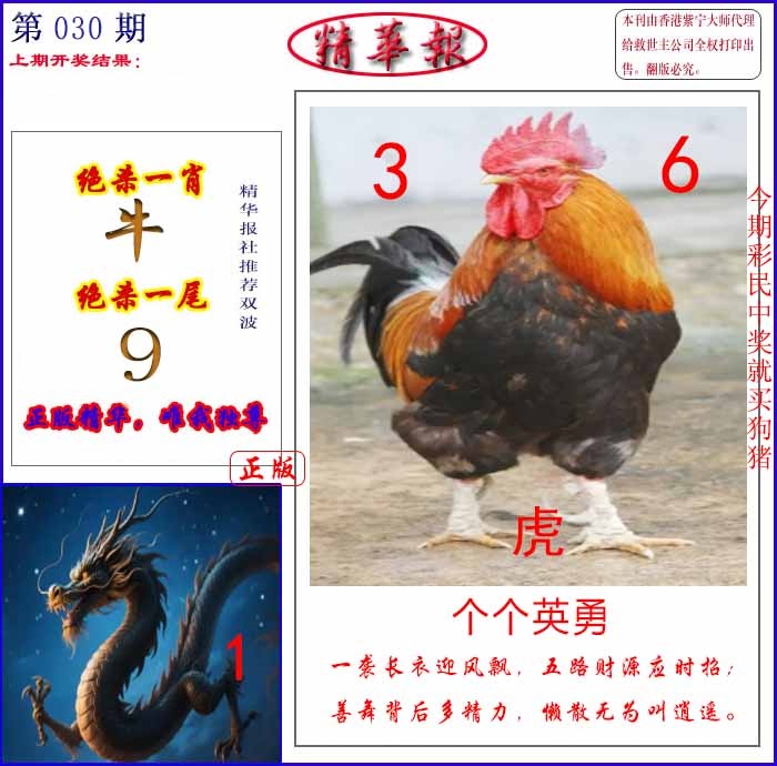 030期新精华报报[图]