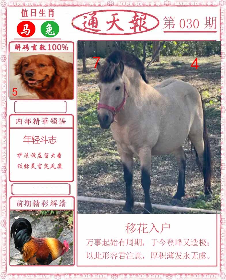 030期正版通天报[图]