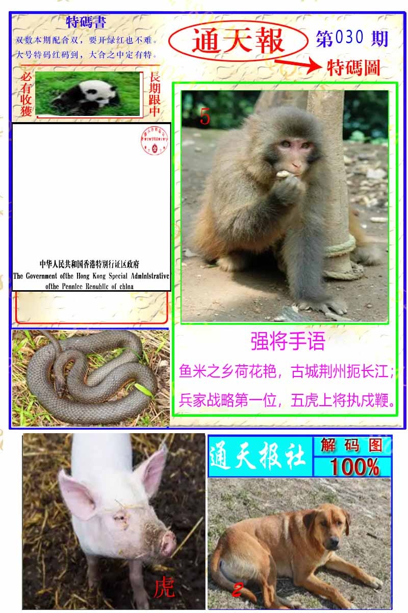 030期通天特解图[图]